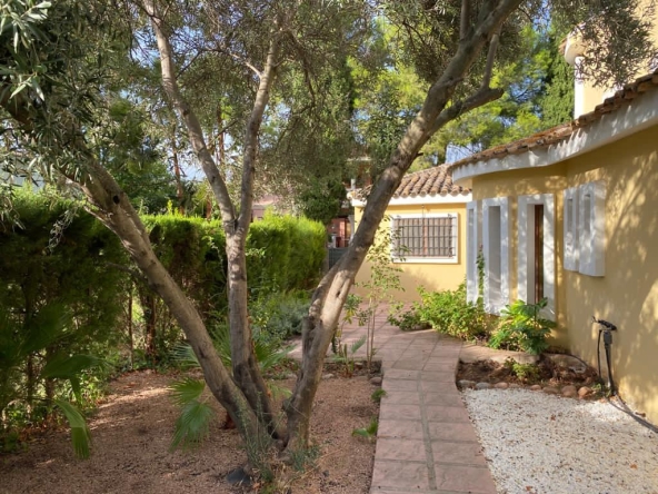 WhatsApp Image 2023-10-20 at 17.37.05 (8)