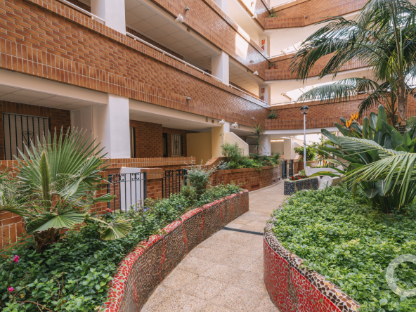 Bajo_oropesadelmar42