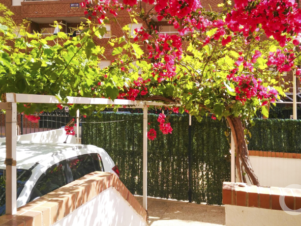 Bajo_oropesadelmar50